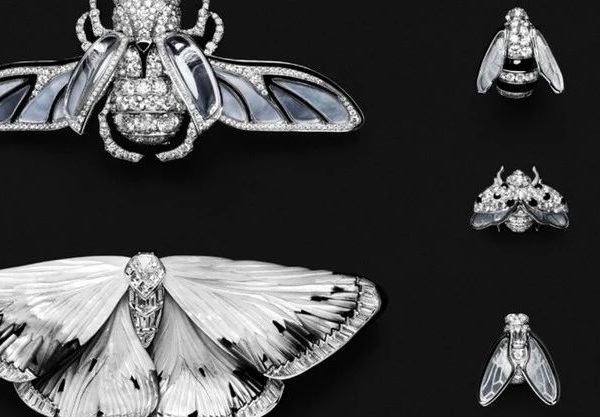 Boucheron 用 6 亿打造一套生物百科！宝诗龙 2025 高级珠宝系列，甲虫、野蔷薇都化身戒指，重新定义自然之美