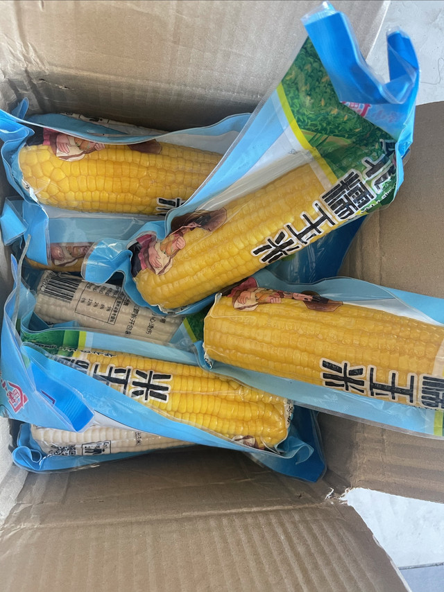 黑龙江黄糯玉米，真的这么好吃？