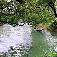 浙江湿地公园：旅行少女必去的拍照打卡天堂📸🌿