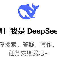 深度剖析DeepSeek：AI领域的新力量