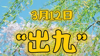 今日“出九”，“2要做2不做”要知道，尊重老传统，顺利迎春