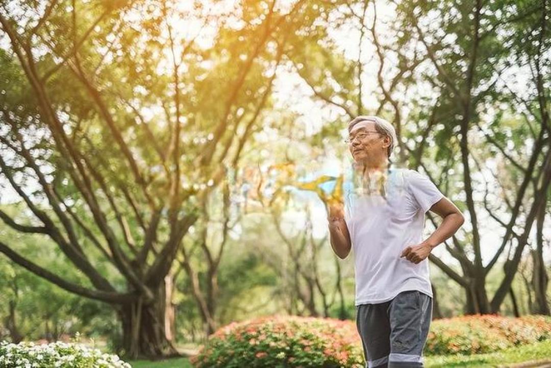 血管“减龄”指南:这样吃+科学动,脑梗风险降一半!
