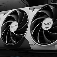 微星（MSI）RTX 5070Ti 16G 神龙魔龙硬派师台式机电脑