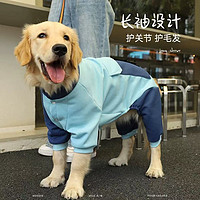 狗狗春秋时尚必备：大型犬专属四脚服