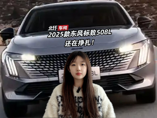 2025款东风标致508L还在挣扎！3月17日上市，一口价9.99万起？