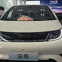 比亚迪海豚EV，10万电车的城市通勤新宠！