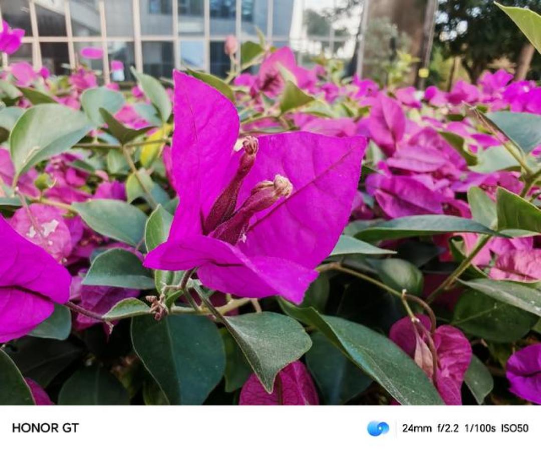 荣耀GT价格屠夫如何搅动中端机市场？新旧旗舰迭代背后的技术降维打击