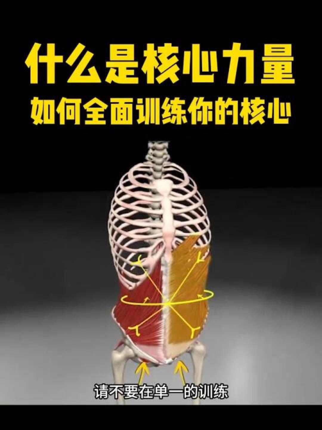 核心力量训练终极指南:从基础激活到爆发力提升三阶全解析