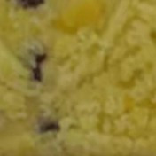 八珍糕：传统养生，一味传世珍宝