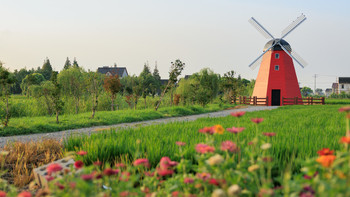 上海27min直达！比苏州人少的森林氧吧！油菜花田、江鲜野菜...春日的舌尖飨宴这里包了！ 