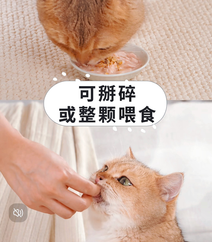 其他宠物营养品