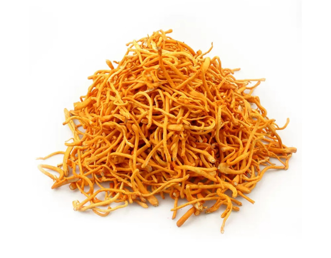 珍锦荟菌菇木耳