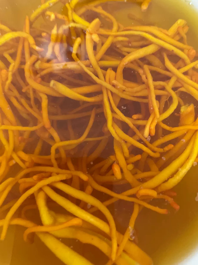 珍锦荟菌菇木耳