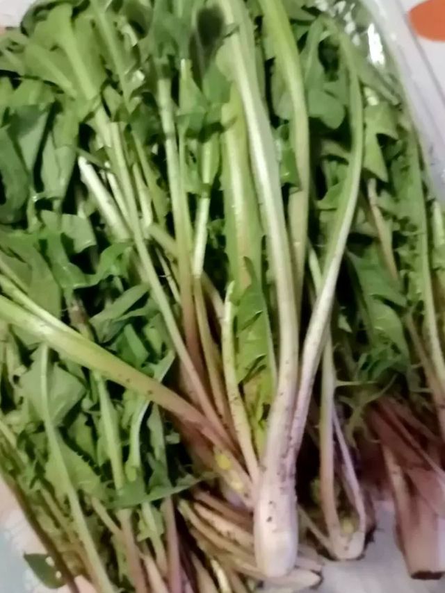 春日限定：蒲公英炒鸡蛋