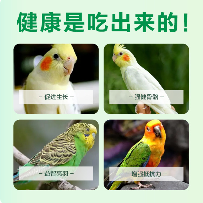 溪怡猫粮