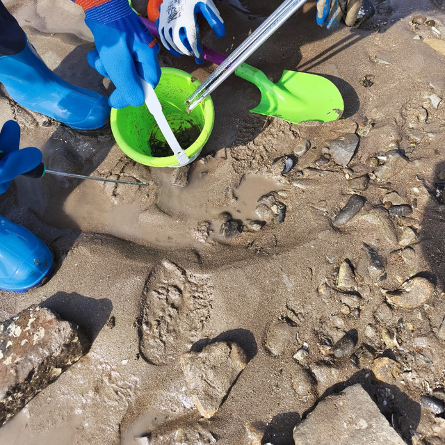 必需带娃体验的赶海，你不试下？