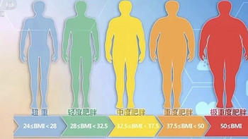 科学减肥法盘点：低卡饮食、间歇性禁食、运动计划，哪一种适合你