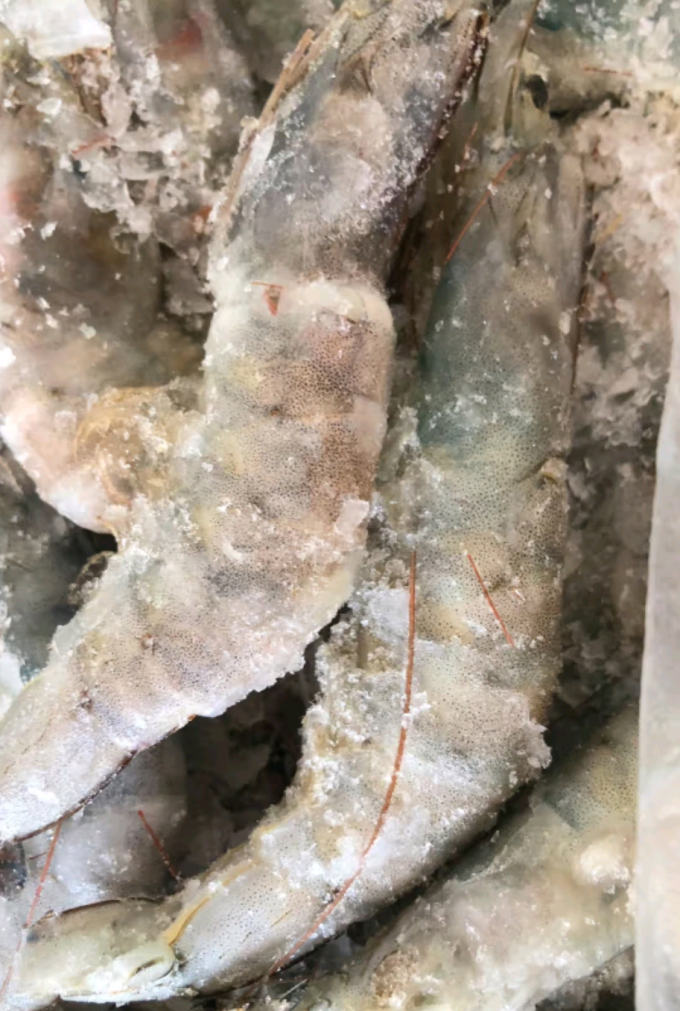 虾类