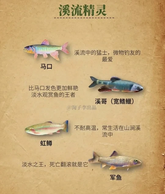 初春微物路亚保姆级攻略。