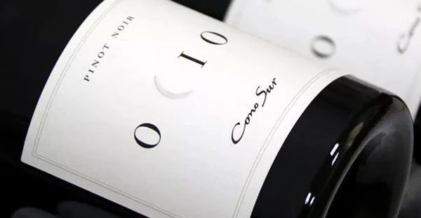 【3升装仅1瓶】智利18罗汉：柯诺苏逸品黑皮诺旗舰干红（2019年）