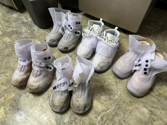 准备来云南看了好多攻略，什么带雨靴带马丁靴呀！这些会不会都会闷jio，我不是为了美观，是图方便，这种一次性的鞋套真的很nice🧐
.
今天就告诉你去云南到底要带什么❗
先跟你们说一个，千万别戴太多化妆