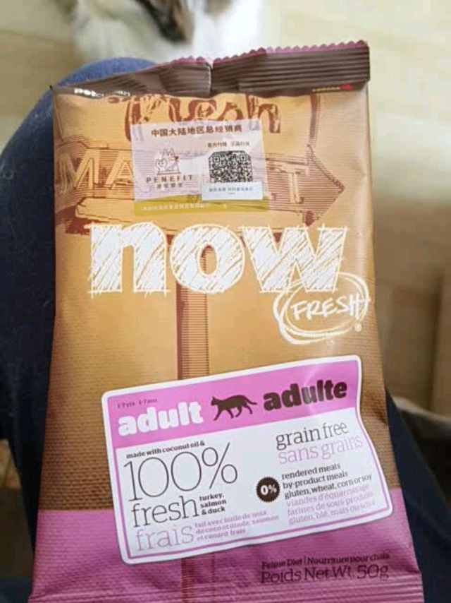 NOW猫粮