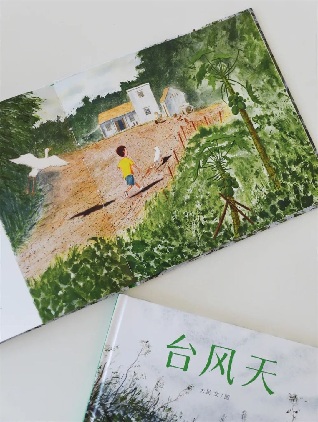 《台风天》走向国际!获选博洛尼亚童书展150本优秀图画书!