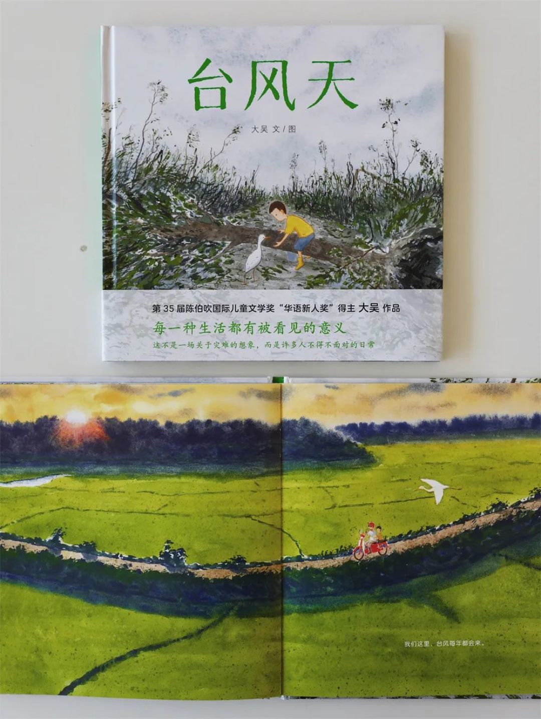 《台风天》走向国际!获选博洛尼亚童书展150本优秀图画书!