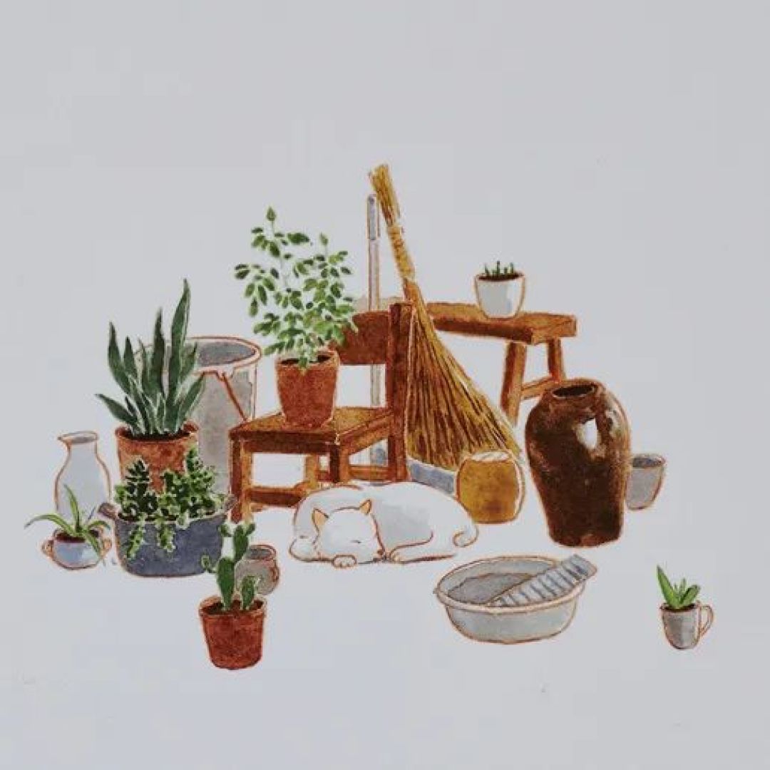《台风天》走向国际!获选博洛尼亚童书展150本优秀图画书!