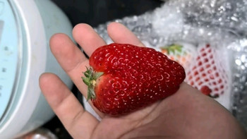 京鲜生·丹东红颜草莓：鲜美直送，尽享大果之悦