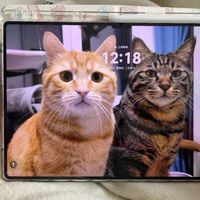 HUAWEI MatePad Pro：超越手机的平板新体验，国家补贴500元特惠