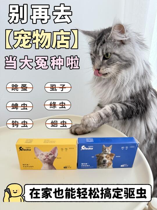 猫咪驱虫新思路，省钱还省心！