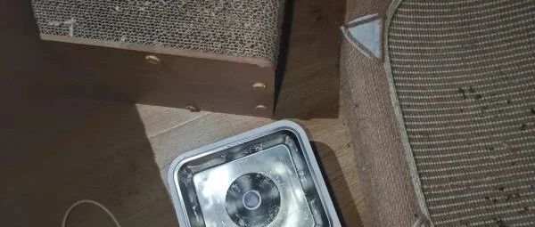 小甜橙猫咪饮水机好用吗？智能滤水与静音设计齐备