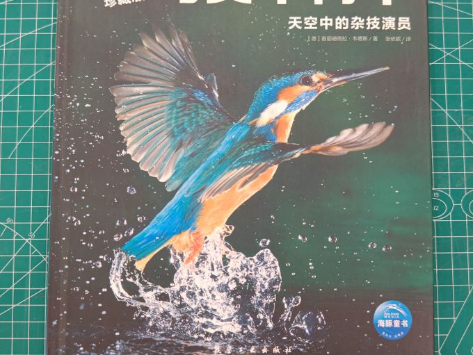 长江少年儿童出版社科普/百科