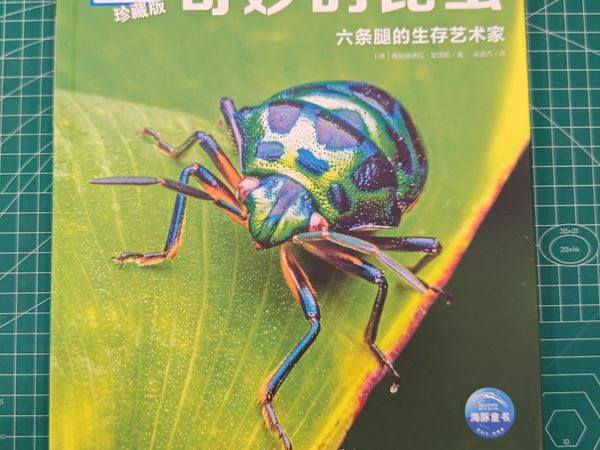 吞金兽的百宝箱：科普绘本故事书《奇妙的昆虫》