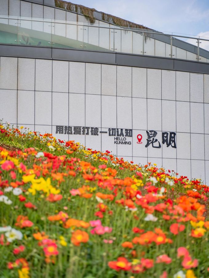 虞美人国内度假
