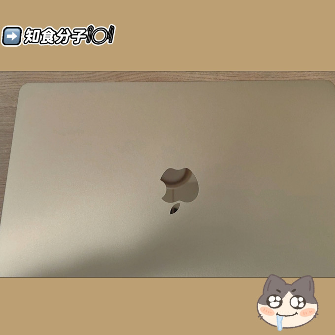 苹果笔记本电脑