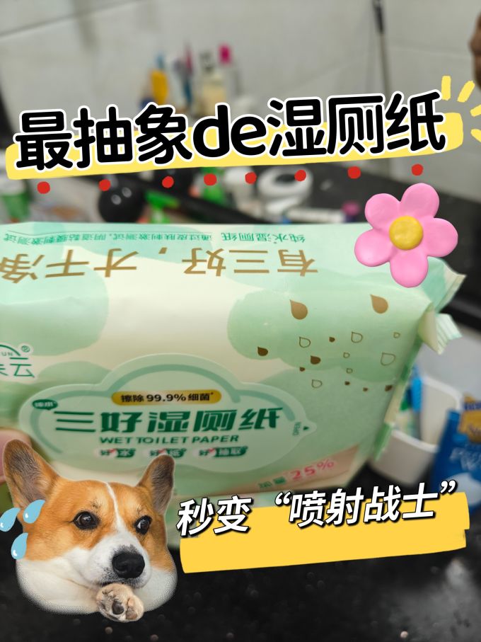 宜朵云湿厕纸