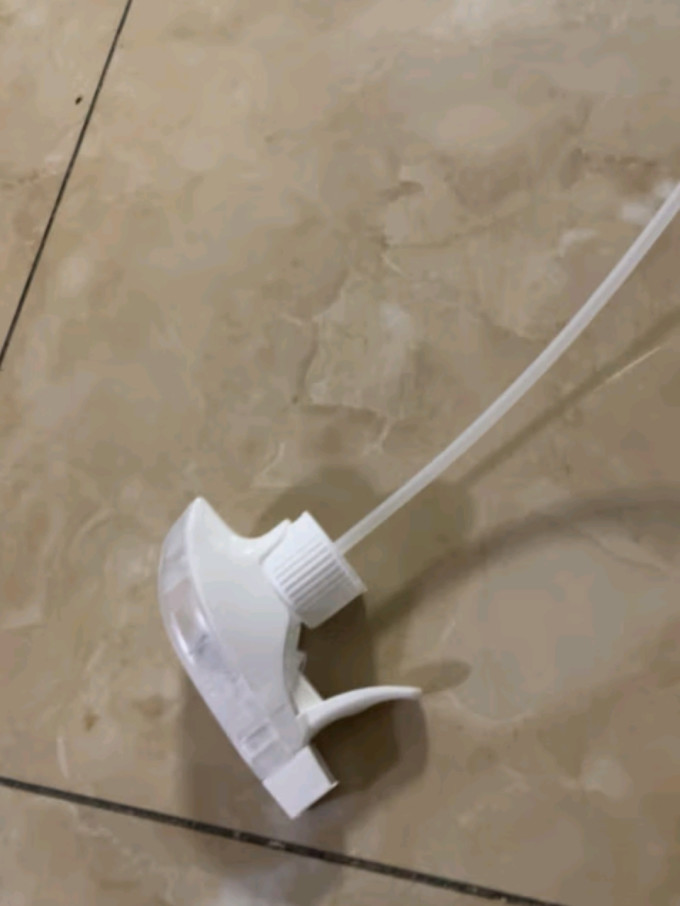 蓝海豚漆面美容