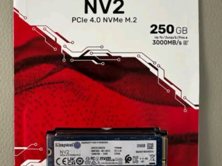 🌟🎮【金士顿NV3 SSD，让《黑神话：悟空》流畅如丝！】
