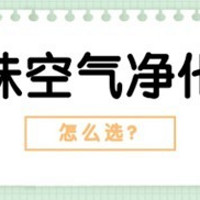 2025年除烟味空气净化器深度测评：除烟味空气净化器是智商税吗？