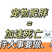 关注宠物BMI：肥胖，正在加速它们的死亡