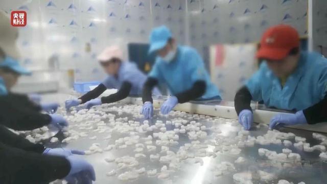 李佳琦直播间虾仁遭315曝光：磷酸盐超标145%引爆选品信任危机