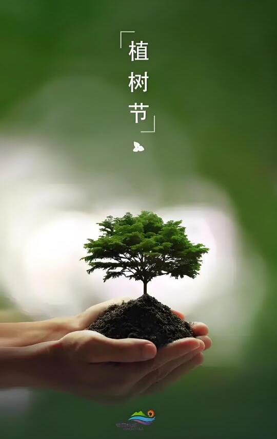 种一个希望