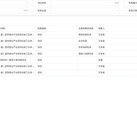 工程项目数字化管理系统定制化服务，系统开发流程是怎么样的？