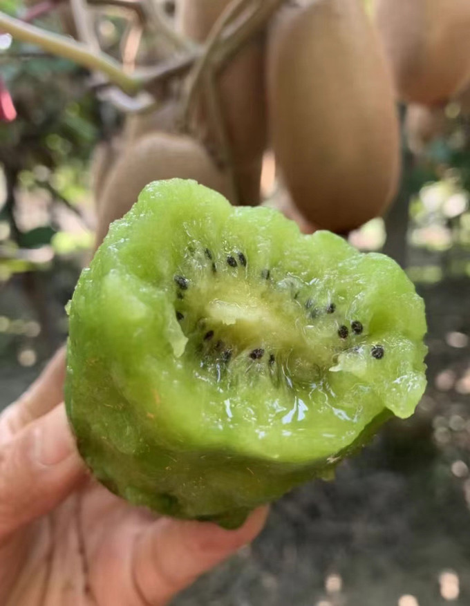 源生鲜新鲜水果