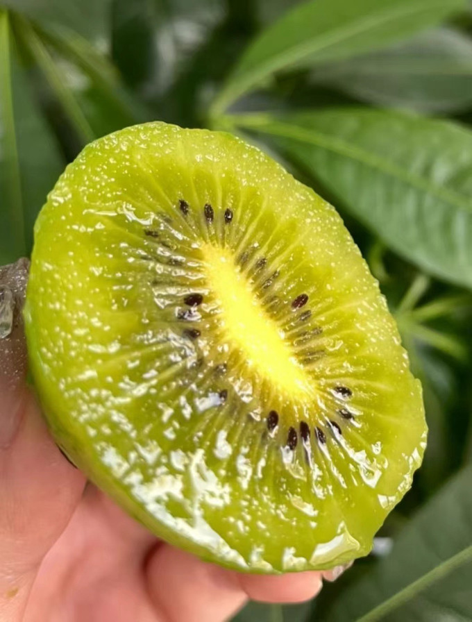 源生鲜新鲜水果