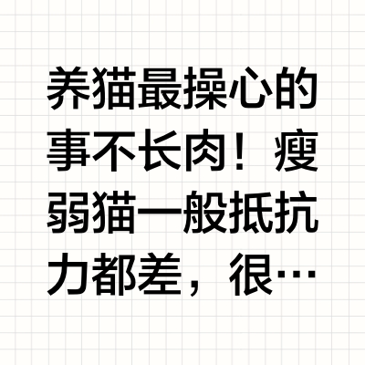 长肉猫粮它来了！4款猫粮真实测评