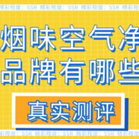 除烟味最好的空气净化器是什么？除烟味最快的空气净化器测评