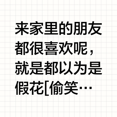 空气凤梨相框🏠满满氛围感